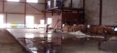завод по производству линолеума